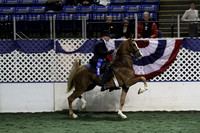 40.  Two-Year-Old Three-Gaited