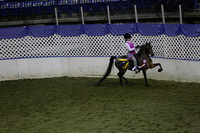 147.  AHHS Youth Pleasure Under Saddle National Championship