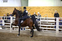 74.  ASB Open Five-Gaited