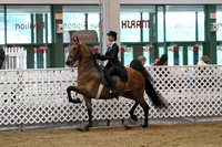 75. Equitation-13 and Under