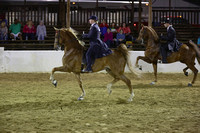 24.  ASB Five-Gaited Open
