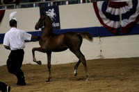 40-Indiana Weanling Futurity