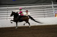 50.  AHHS Road Pony Under Saddle Medallion