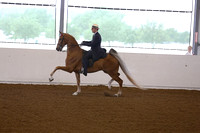 50. Buy A Class-ASB 5 Gaited Junior Exhibitor Championship