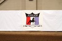 29-ASHAM Charity Fall Show - Official Photographer