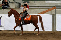 50-COTB Western Pleasure Junior Horse
