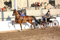 27.  Road Horse To Wagon