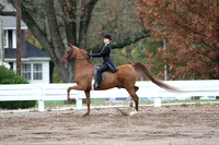 106-Equitation-17 and Under