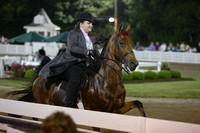 61.  Five-Gaited Pony Stake