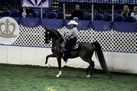 108-Western Country Pleasure Championship
