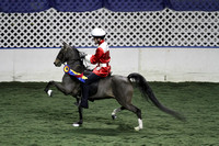 132-Road Pony Under Saddle Championship