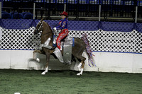 149-Parade Horse Championship