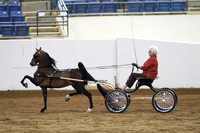 34-Amateur Harness Pony