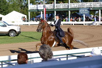 30.  Equitation Championship