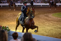 40.  ASB Amateur Five-Gaited Stake