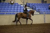 105-AB Sport Horse Prospect Under Saddle