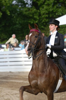 02.  Equitation-17 and Under