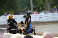 45.  Amateur Harness Pony