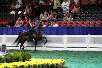 25.  Equitation-16 Years Old