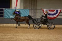 44.  Amateur-Ladies Harness Pony