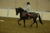 70-AB Hunter Pleasure Junior:Novice Horse