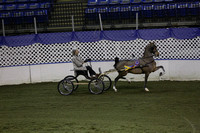 144.  Hackney Pony National Championship