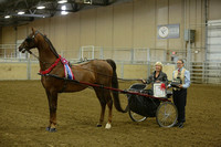 134-Western Canadian ASB Show Pleasure Driving Championship