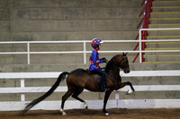 109.  Road Pony Under Saddle Championship