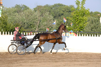 24.  Amateur Road Horse