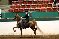 80-Saddle Seat Equitation 17 & Under