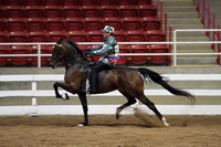 105.  Road Horse Under Saddle Championship