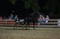 30-Equine Roadster Cup Open Mare