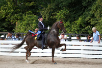 77.  Equitation Championship