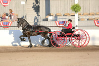 66.  Antique Carriage Driving