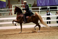 10.  Three-Gaited Over-Two