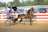 18-Equine Roadster Pony Cup 52" & Under