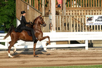 60-Two Year Old Three Gaited Stake