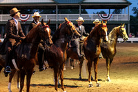 74-Five Gaited Open Stake