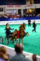 04.  KY County Fair Harness Pony Championship
