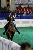 17.  Equitation-15 Years Old