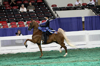 30.  Equitation-14 Years Old