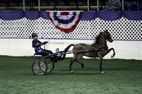 103.  AHHS Medallion Road Pony 13 & Under National Championship