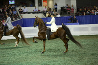 82.  Ladies Amateur Three-Gaited Over Two