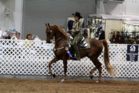 108.  ASB Western Country Pleasure Championship