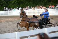 59.  Amateur Harness Pony