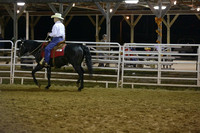 40.  Ranch Horse