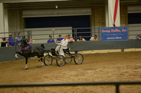 132. Hackney Pony Amateur Championship