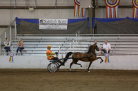 089.  Amateur Road Pony Championship