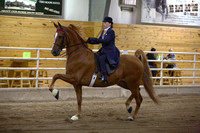13.  ASB Five-Gaited Country Pleasure
