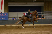 133. Five Gaited Open Stake